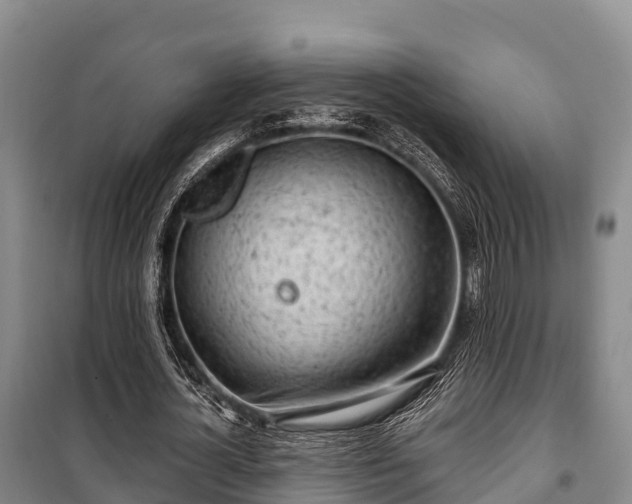 X0000100200724200806061321