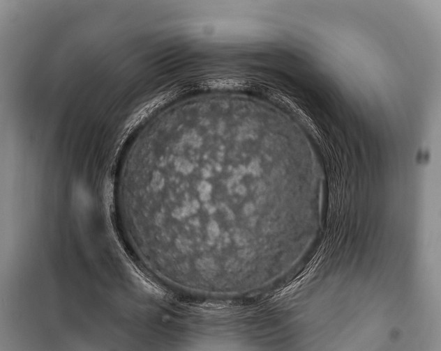 X0000100200725200806061321