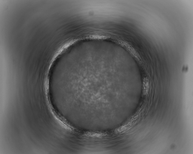 X0000100200726200806061321