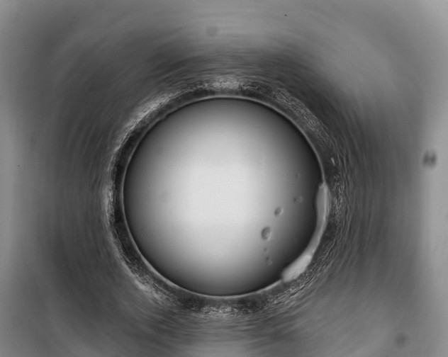 X0000100200728200806061321