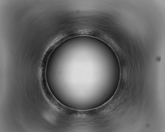 X0000100200730200806061321