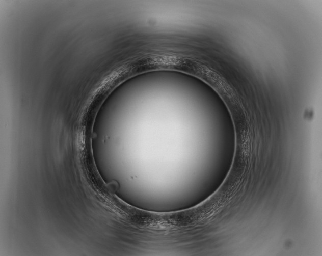 X0000100200731200806061322