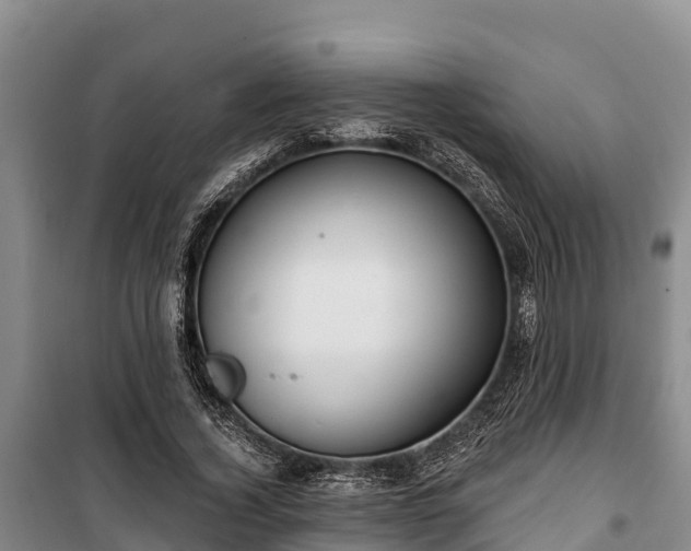 X0000100200732200806061322