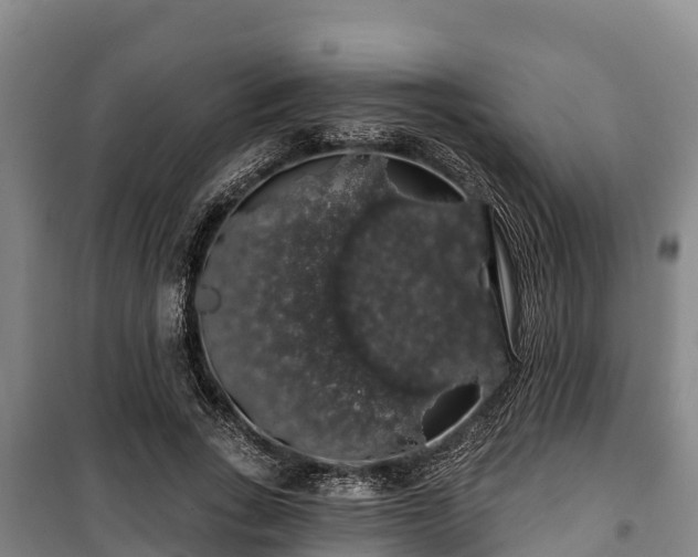 X0000100200735200806061322