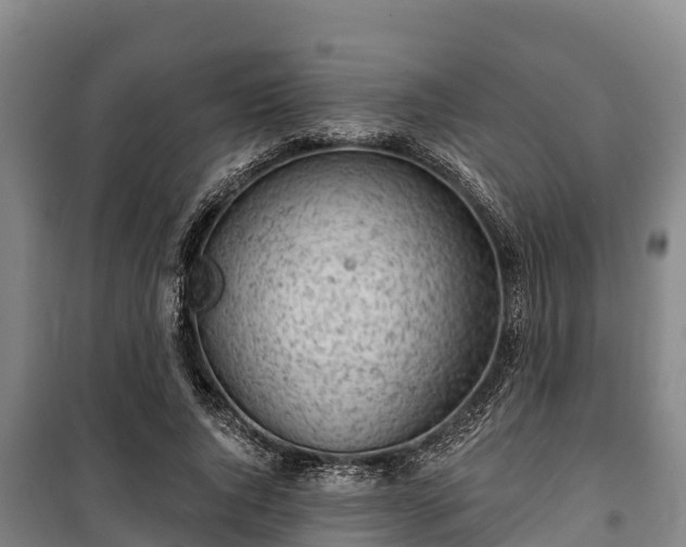 X0000100200736200806061322