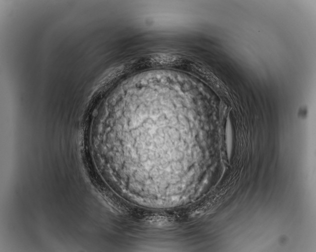 X0000100200738200806061322