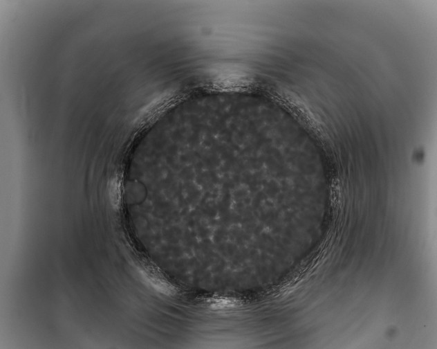 X0000100200741200806061322