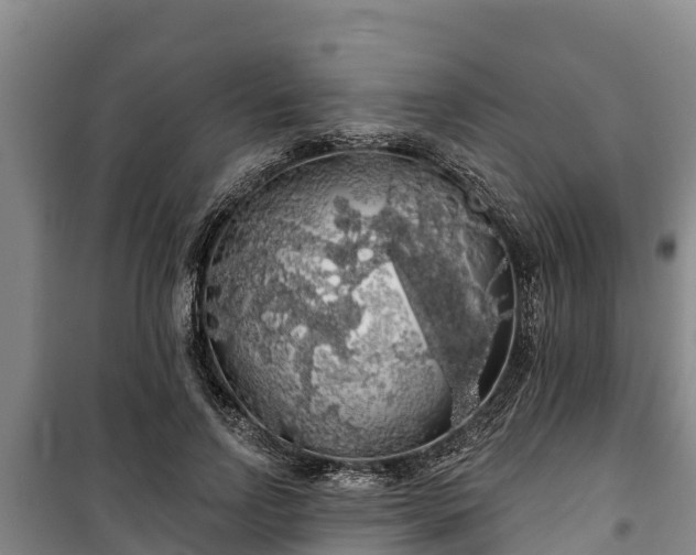 X0000100200742200806061322