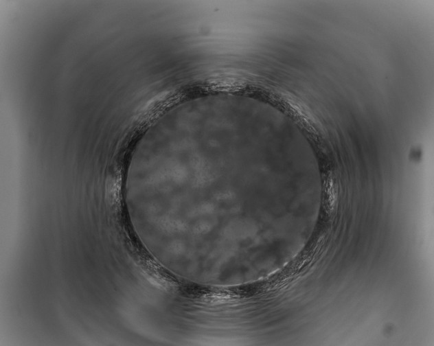 X0000100200745200806061322