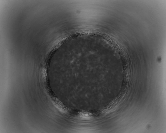 X0000100200746200806061322