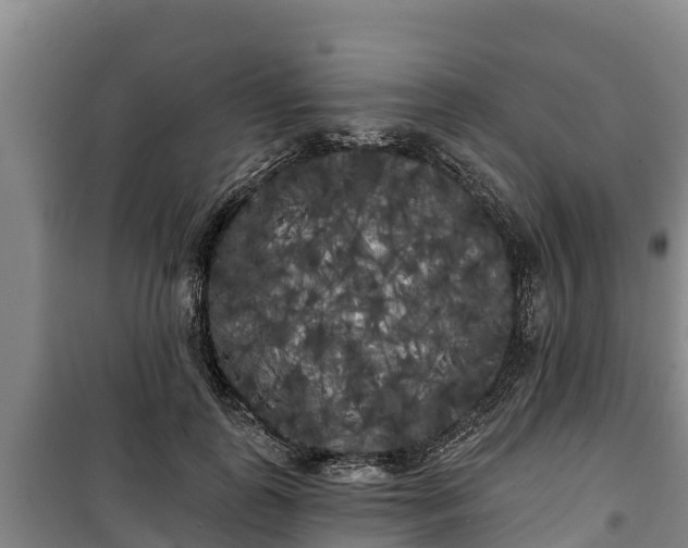 X0000100200747200806061322