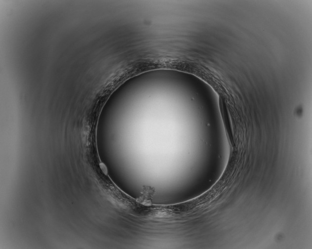 X0000100200750200806061322