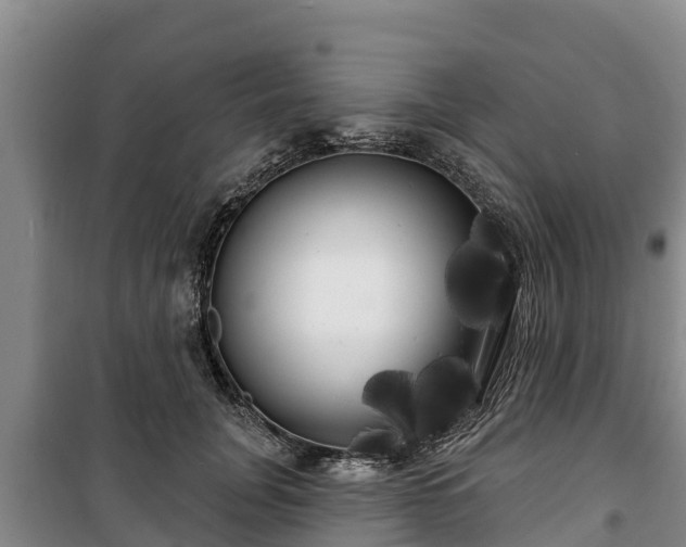 X0000100200751200806061322