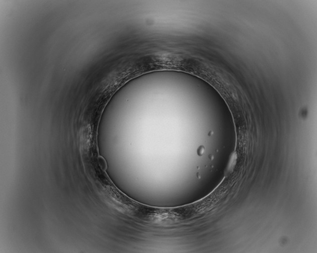 X0000100200752200806061322