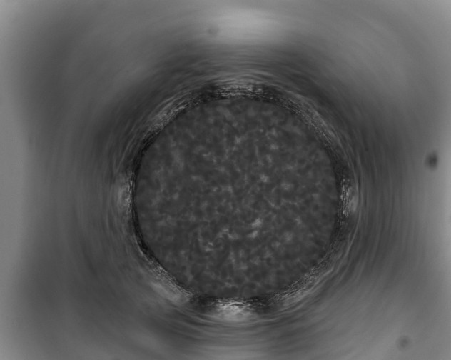 X0000100200753200806061322