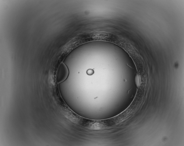 X0000100200755200806061322