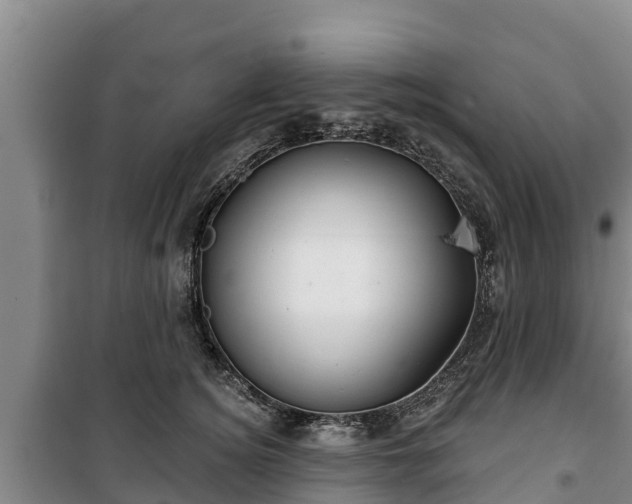 X0000100200756200806061322