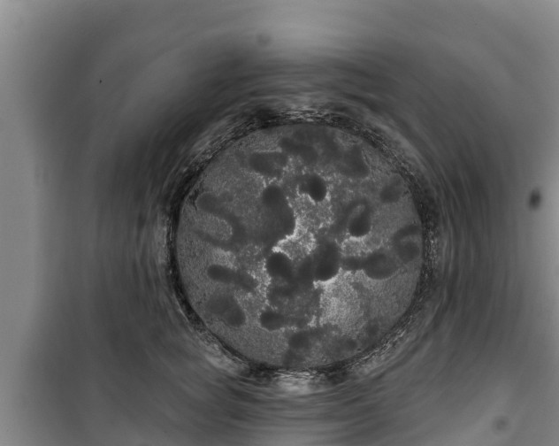 X0000100200757200806061322