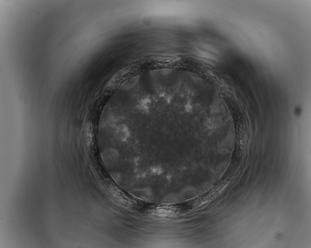 X0000100200758200806061322