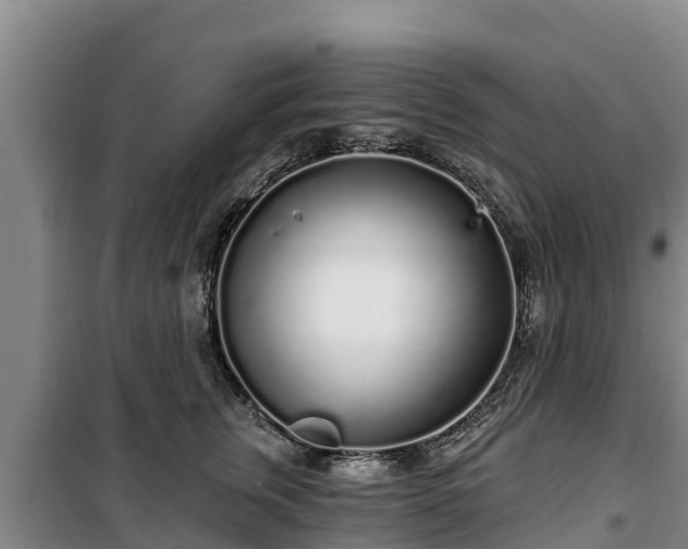 X0000100200759200806061322