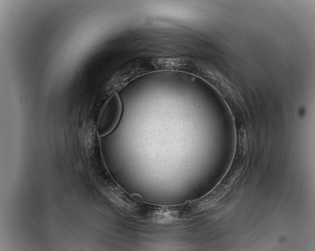 X0000100200760200806061322