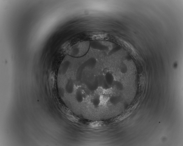 X0000100200761200806061322