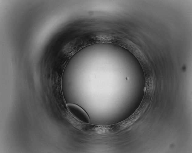 X0000100200762200806061322