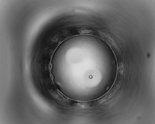 X0000100200763200806061322