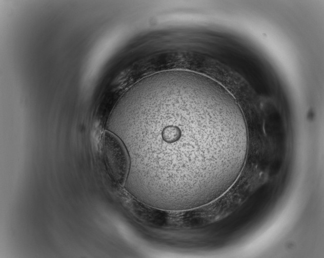 X0000100200766200806061322