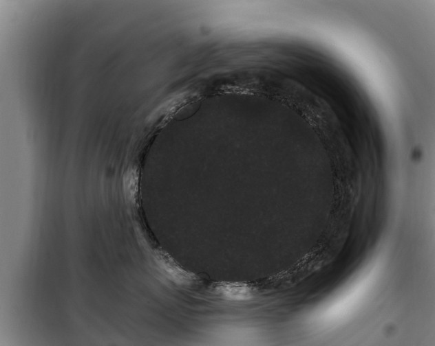 X0000100200767200806061322