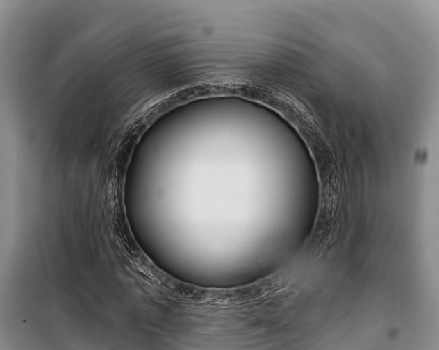 X0000100200773200806061321