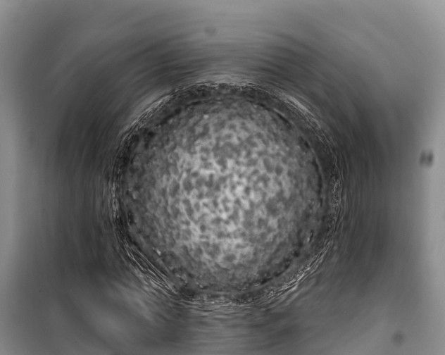 X0000100200774200806061321