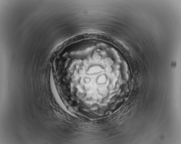 X0000100200775200806061321