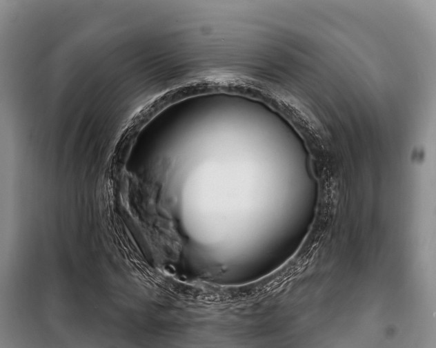 X0000100200776200806061321