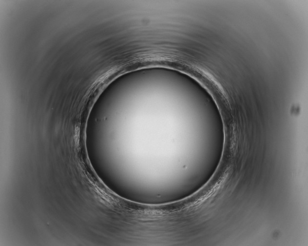 X0000100200777200806061321