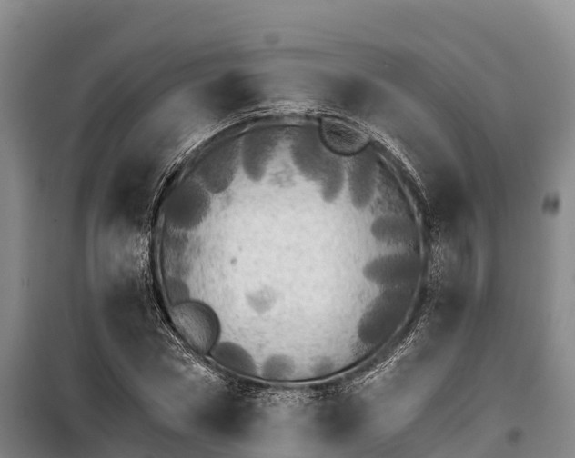 X0000100200778200806061321