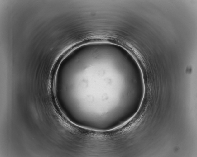 X0000100200779200806061321