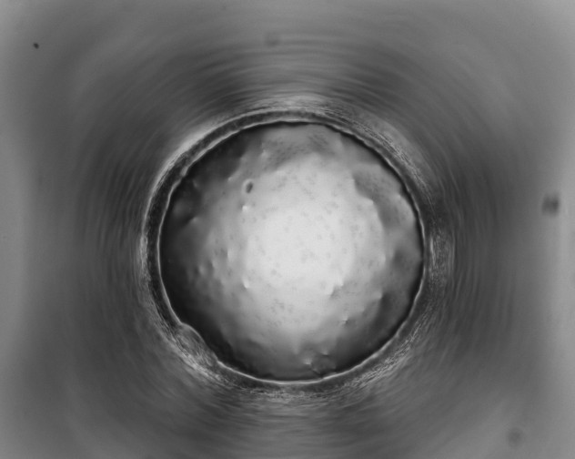 X0000100200780200806061321