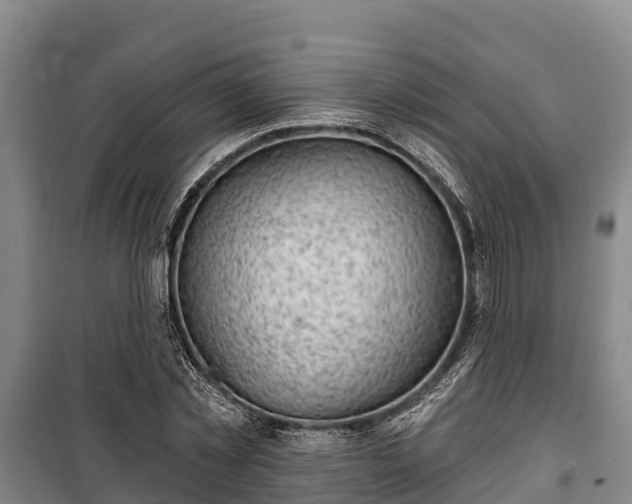 X0000100200781200806061321