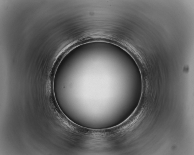 X0000100200782200806061321