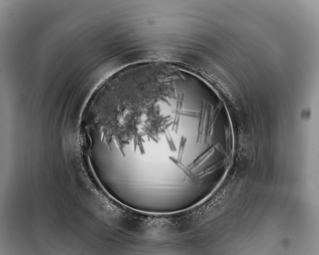 X0000100200784200806061321