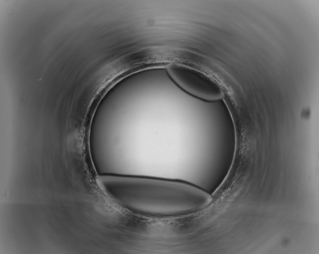 X0000100200786200806061321