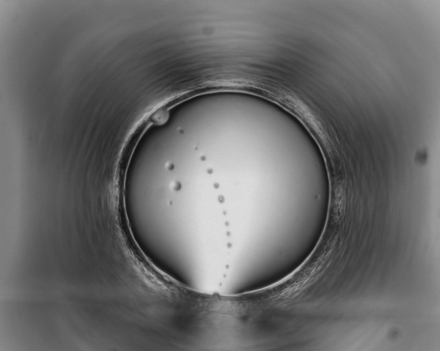 X0000100200787200806061321