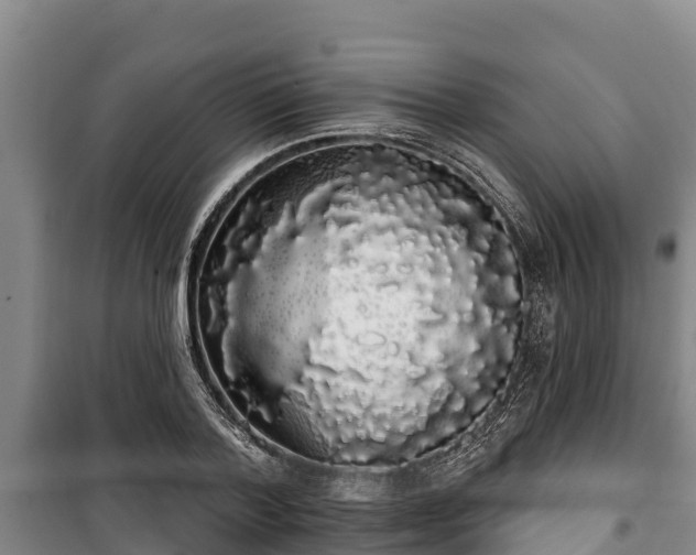 X0000100200788200806061321