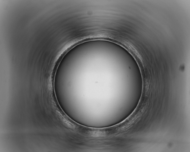 X0000100200789200806061321