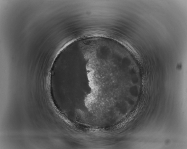 X0000100200790200806061321