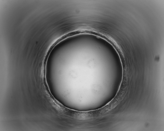 X0000100200791200806061321