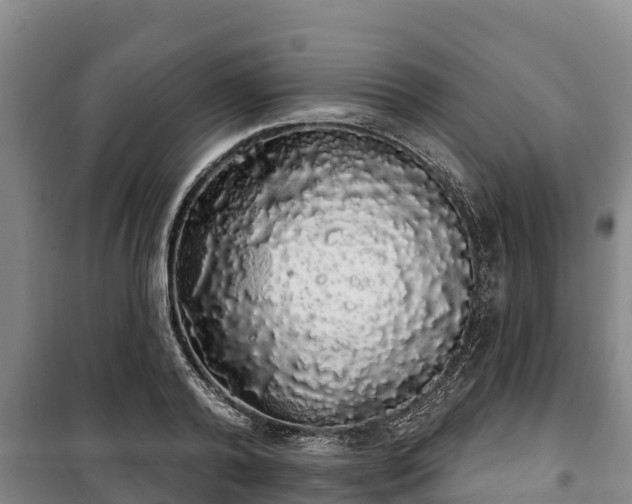 X0000100200792200806061321