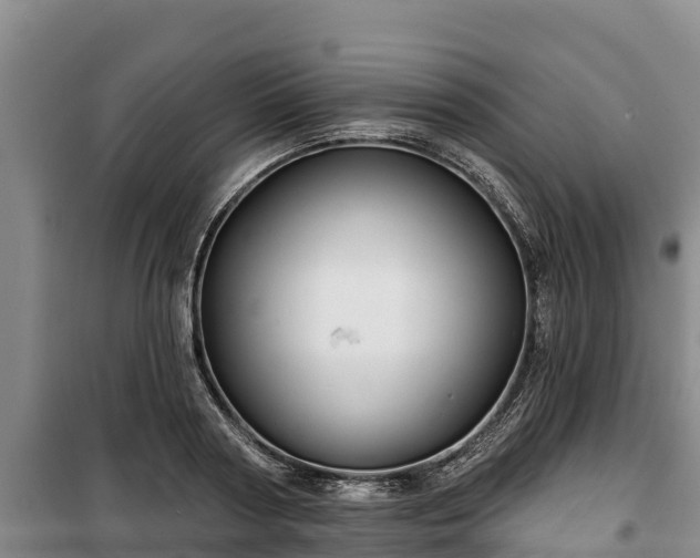 X0000100200794200806061321