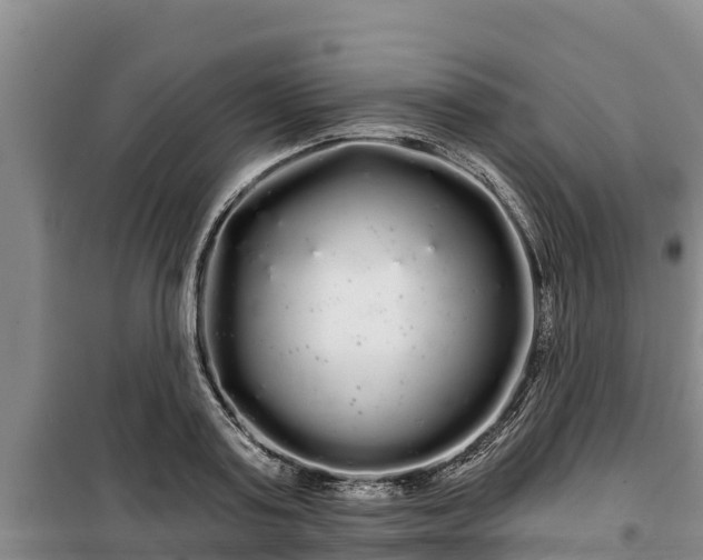 X0000100200795200806061321